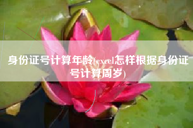 身份证号计算年龄(excel怎样根据身份证号计算周岁)