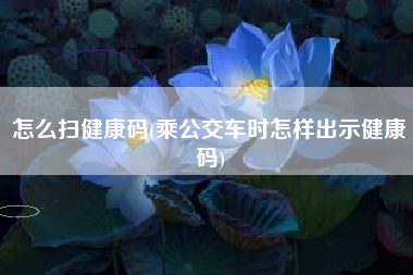 怎么扫健康码(乘公交车时怎样出示健康码)