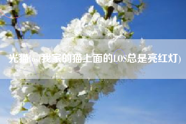 光猫los(我家的猫上面的LOS总是亮红灯)