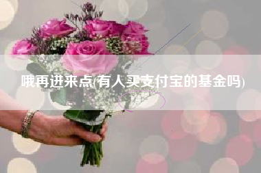 哦再进来点(有人买支付宝的基金吗)