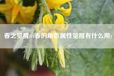 详细阅读:春之觉醒(cf春的角色属性觉醒有什么用) 春之觉醒(cf春的角色属性觉醒有什么用)