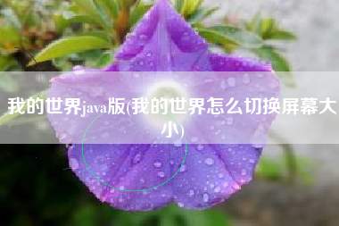 我的世界java版(我的世界怎么切换屏幕大小)