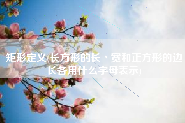 矩形定义(长方形的长丶宽和正方形的边长各用什么字母表示)
