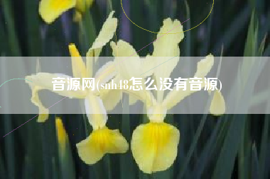 音源网(snh48怎么没有音源)
