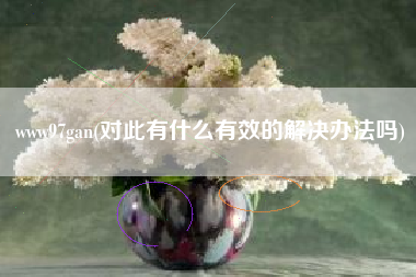 www97gan(对此有什么有效的解决办法吗)