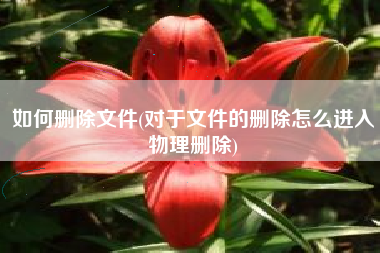 如何删除文件(对于文件的删除怎么进入物理删除)