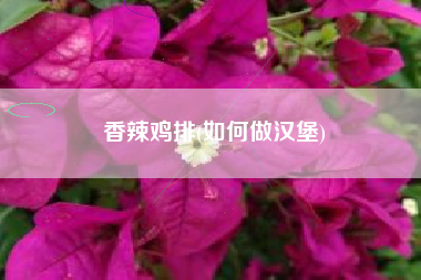 香辣鸡排(如何做汉堡)