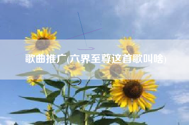 歌曲推广(六界至尊这首歌叫啥)