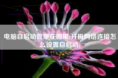 电脑自启动管理在哪里(开机网络连接怎么设置自启动)