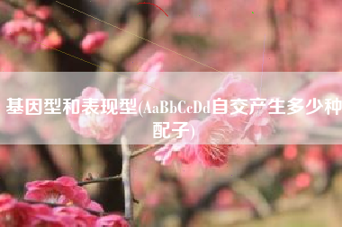 基因型和表现型(AaBbCcDd自交产生多少种配子)