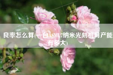 良率怎么算(一台ASML7纳米光刻机月产能有多大)