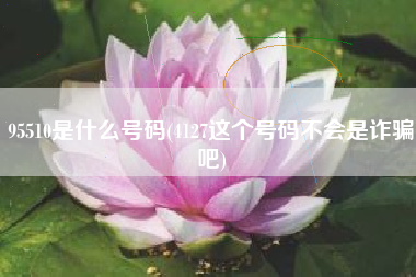 95510是什么号码(4127这个号码不会是诈骗吧)