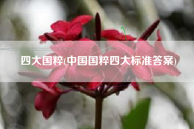 四大国粹(中国国粹四大标准答案)