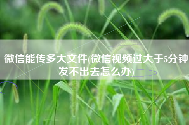 微信能传多大文件(微信视频过大于5分钟发不出去怎么办)