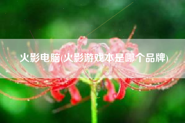 火影电脑(火影游戏本是哪个品牌)