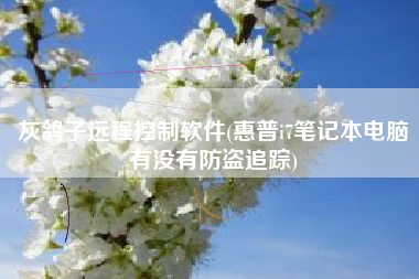 灰鸽子远程控制软件(惠普i7笔记本电脑有没有防盗追踪)