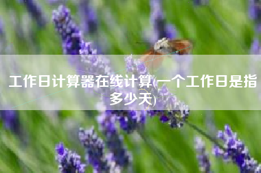 工作日计算器在线计算(一个工作日是指多少天)