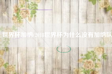世界杯加纳(2018世界杯为什么没有加纳队)