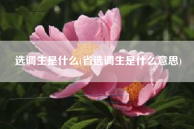 选调生是什么(省选调生是什么意思)