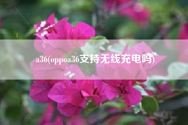 a36(oppoa36支持无线充电吗)