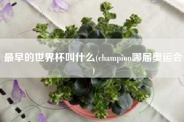 详细阅读:最早的世界杯叫什么(champion哪届奥运会) 最早的世界杯叫什么(champion哪届奥运会)