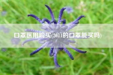 口罩医用购买(2011的口罩能买吗)