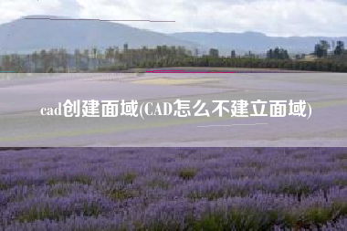 cad创建面域(CAD怎么不建立面域)