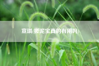 宣琪(搓泥宝真的有用吗)