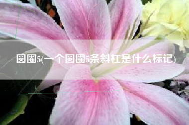 圆圈5(一个圆圈5条斜杠是什么标记)
