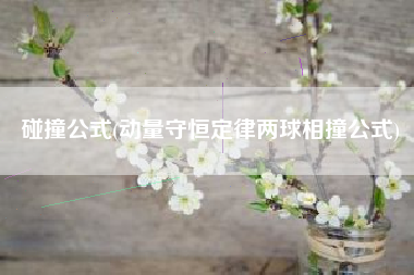 碰撞公式(动量守恒定律两球相撞公式)