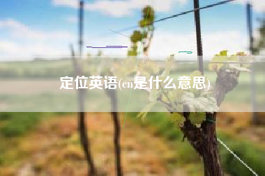 定位英语(cn是什么意思)
