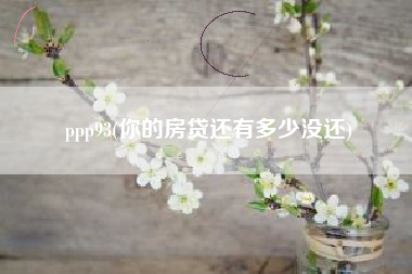 ppp93(你的房贷还有多少没还)