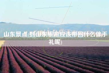 山东景点(到山东旅游应该带回什么伴手礼呢)