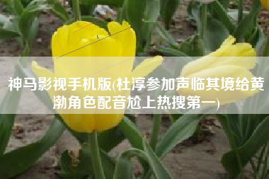 神马影视手机版(杜淳参加声临其境给黄渤角色配音尬上热搜第一)
