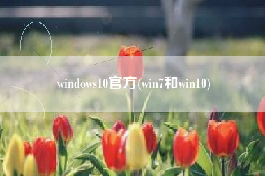 windows10官方(win7和win10)