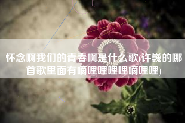 详细阅读:怀念啊我们的青春啊是什么歌(许巍的哪首歌里面有嘀哩哩哩哩嘀哩哩) 怀念啊我们的青春啊是什么歌(许巍的哪首歌里面有嘀哩哩哩哩嘀哩哩)