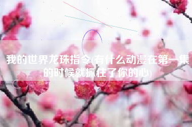 我的世界龙珠指令(有什么动漫在第一集的时候就抓住了你的心)