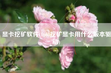 显卡挖矿软件(1660挖矿显卡用什么版本驱动)