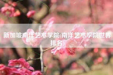 新加坡南洋艺术学院(南洋艺术学院世界排名)