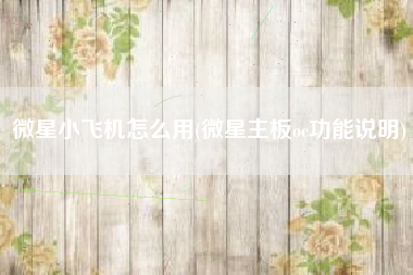 微星小飞机怎么用(微星主板oc功能说明)