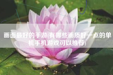 画面最好的手游(有哪些画质好一点的单机手机游戏可以推荐)