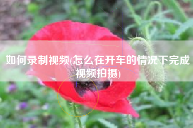 如何录制视频(怎么在开车的情况下完成视频拍摄)