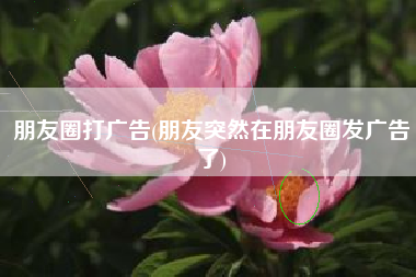 朋友圈打广告(朋友突然在朋友圈发广告了)