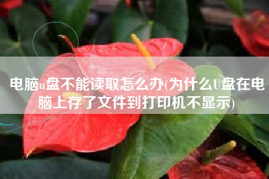 电脑u盘不能读取怎么办(为什么U盘在电脑上存了文件到打印机不显示)
