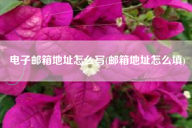 电子邮箱地址怎么写(邮箱地址怎么填)