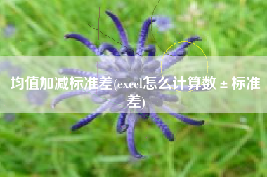 均值加减标准差(excel怎么计算数±标准差)