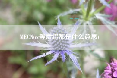 MECN(cc等后缀都是什么意思)