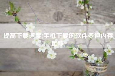 提高下载速度(手机下载的软件多但内存足够)