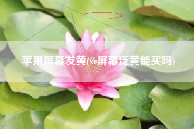 苹果屏幕发黄(xr屏幕泛黄能买吗)