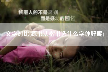 文字对比(练书法楷书选什么字体好呢)